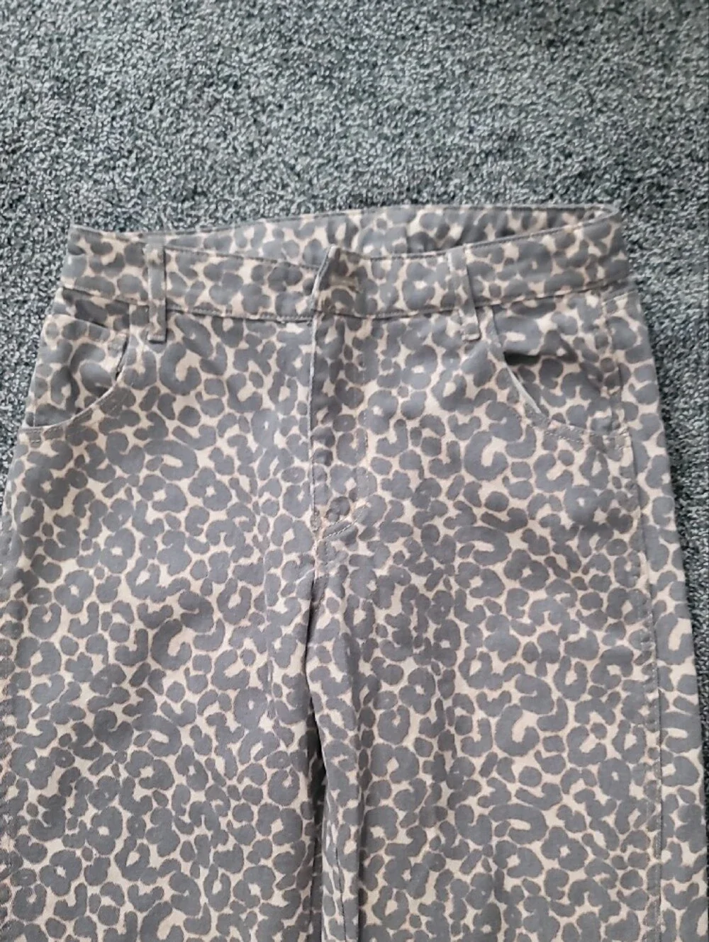 wild fable Men's Leopard-Print Chinos in Beige and Gray
